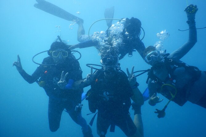 Private Discovery Scuba Diving with Sea Turtles - Meeting Point and Transportation in Protaras
