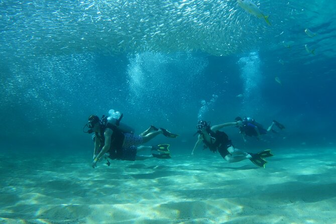 Private Dive Boat for Certified Divers - Cabo San Lucas - Key Points