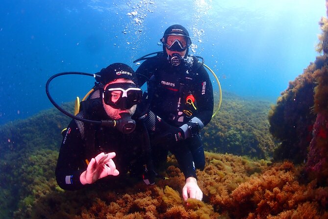 Private diving baptism in the Golf of Calvi - Key Points