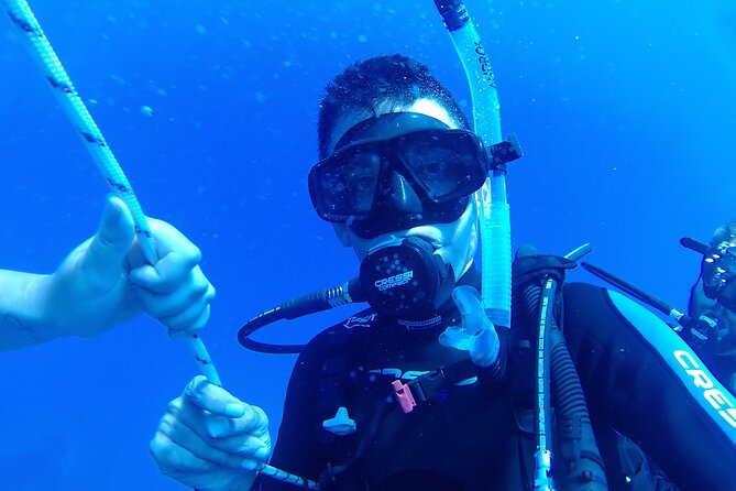 Private Diving Cyprus Experience Protaras and Ayia Napa & Turtles - Practical Details and Booking Information
