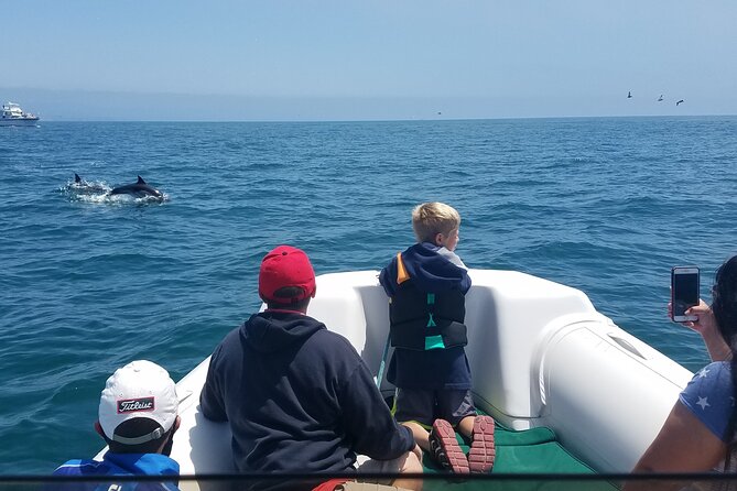 Private Dolphin and Whale Watching Tour in Newport Beach - Experience the Best of Newport Beach Marine Wildlife with a Private Tour
