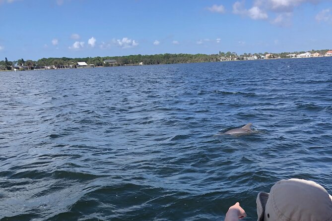 Private Dolphin Catamaran Sail In Cocoa Beach - Final Thoughts on the Private Dolphin Catamaran Sail