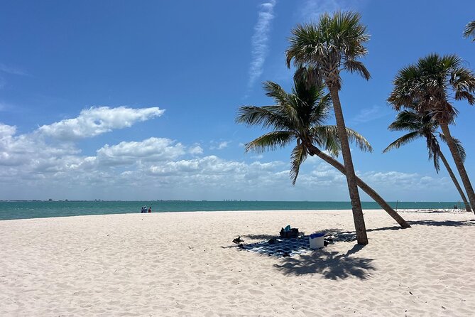 Private Dolphin Watching Beach Day Getaway - Island Beaches: Sanibel, North Captiva, and Cayo Costa