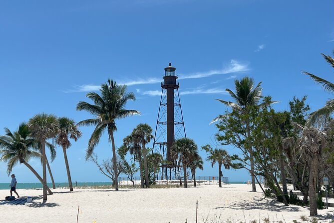 Private Dolphin Watching Beach Day Getaway - What You Can Expect from the Dolphin Sightings