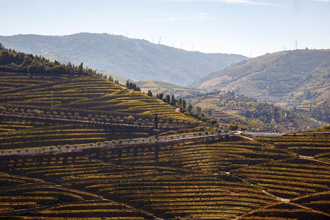Private Douro 4x4 Adventure from Porto - Key Points