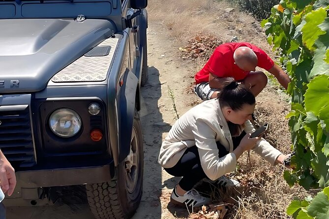 Private Douro 4x4 Adventure from Porto - The Iconic Miradouro de Sao Leonardo de Galafura