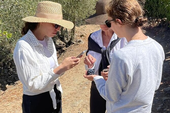 Private Douro 4x4 Adventure from Porto - Visiting the Church of São Gonçalo and Tamega River Area