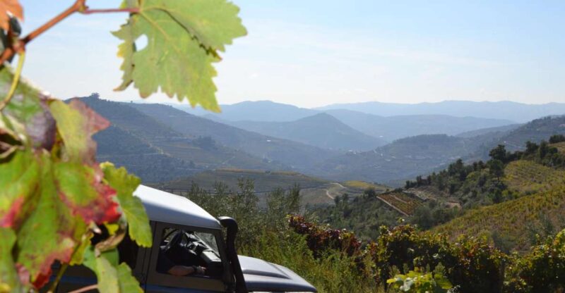 Private Douro Valley 4WD Tour with Wine Tasting and Picnic - Time in Peso da Régua and the Off-road Adventure