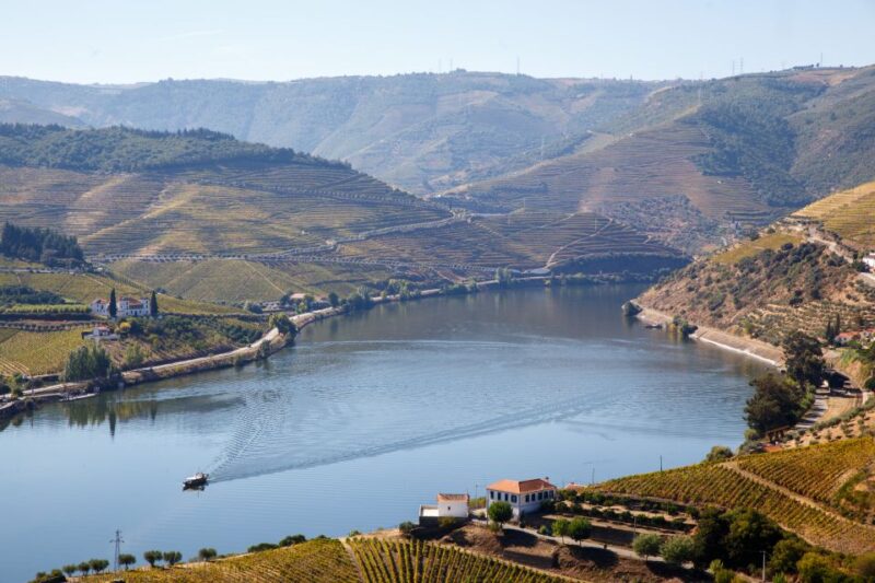Private Douro Valley 4WD Tour with Wine Tasting and Picnic - Port Wine Tasting at a Local Winery