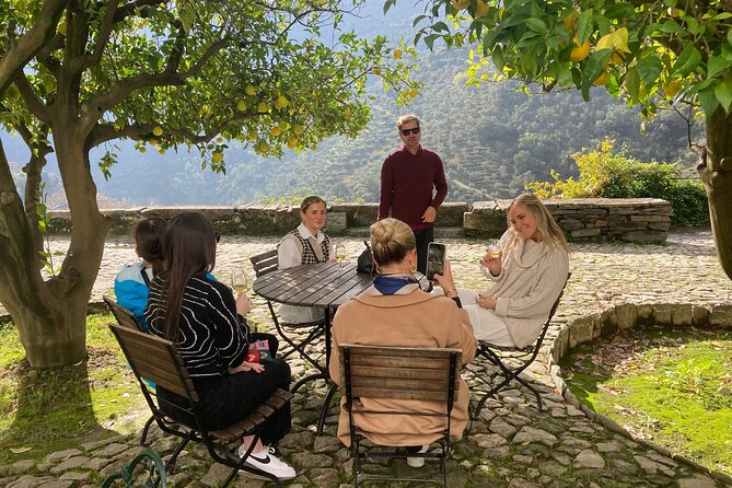 Private Douro Valley all inclusive: Tastings, Lunch & Boat - Traditional Portuguese Home-Cooked Lunch at Sabrosa