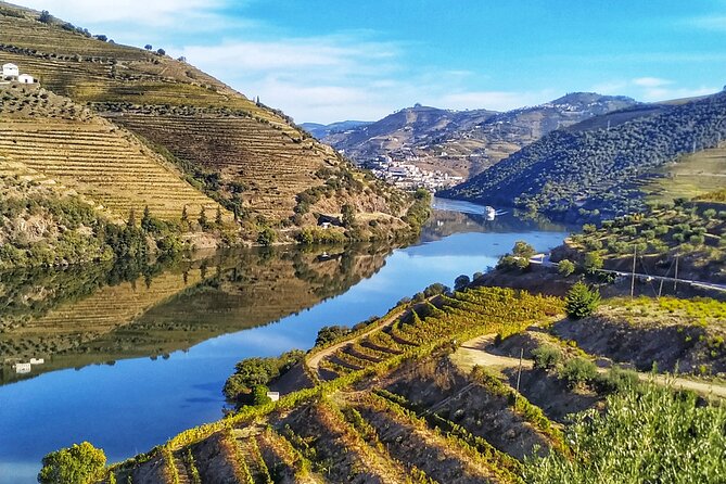 Private Douro Valley all inclusive: Tastings, Lunch & Boat - Convenient Meeting Point and End Location in Porto