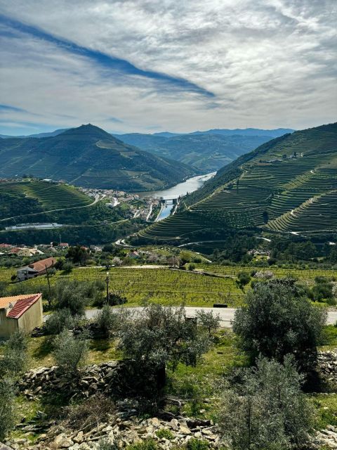 Private Douro Valley Full Day Tour - Exploring the Douro Valley’s Wineries with Personalised Tasting Experiences