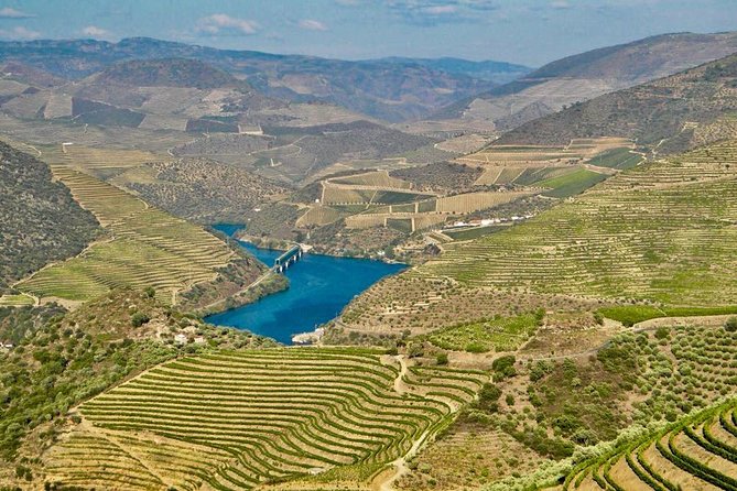 Private Douro Valley - Senses Experiences - The Douro Valley: Nature, Food, and Wine