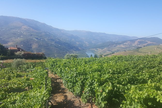 Private Douro Valley - Senses Experiences - Unique and Exclusive Wine Estate Experiences