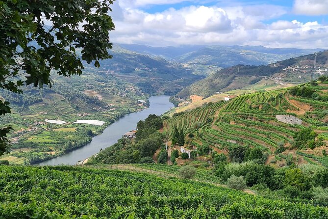 Private Douro Valley Tour (2 wineries + boat) - Exploring the Douro Valley with Small Wineries and Personal Service