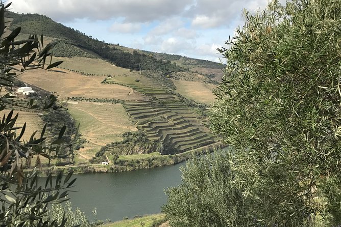 Private Douro Valley Tour Includes Wine Tasting and Boat Tour - The Spectacular Viewpoint at Casal de Loivos