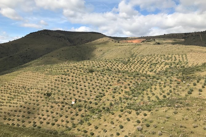 Private Douro Valley Tour Includes Wine Tasting and Boat Tour - Trip Inclusions and Practical Details