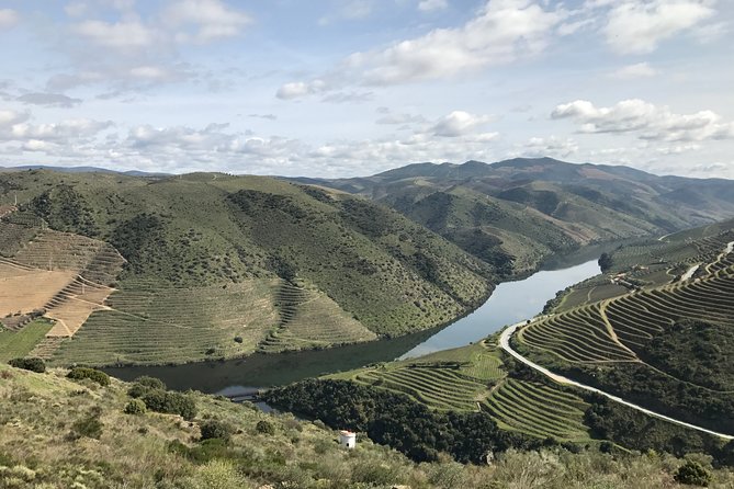 Private Douro Valley Tour Includes Wine Tasting and Boat Tour - What Sets This Tour Apart from Others