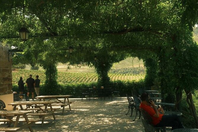 Private Douro Valley Tour with Lunch & Wines - A Gourmet Portuguese Lunch with Local Flavors
