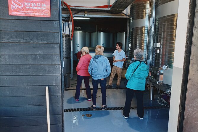 Private Douro Valley Tour with Sommelier, Lunch and Wine Tasting - Convenient Logistics with Air-Conditioned Transport and WiFi