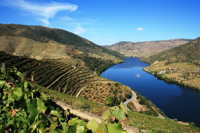 Private Douro Valley visit to three vineyards with Lunch from Porto - Explore Portugal’s Premier Wine Region with a Private Douro Valley Tour