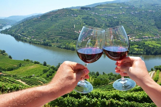Private Douro Valley Wine Tour: 2 Wine Estates, Lunch and Cruise - Exploring the Most Scenic Road: Estrada Nacional 222