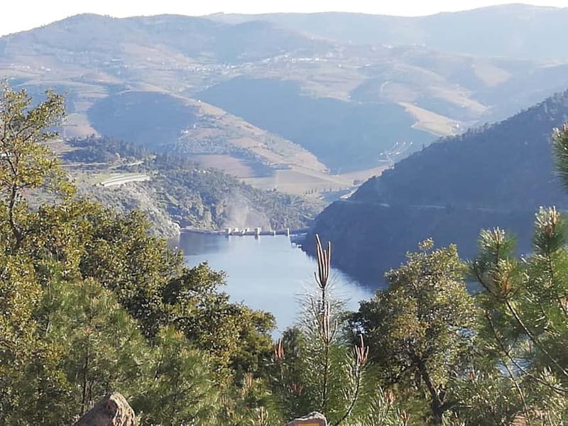 Private Douro Wine Experience - Full Day in the Douro Valley - Savoring a Traditional Douro Lunch