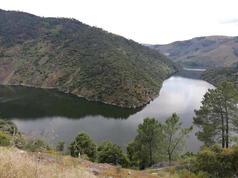 Private Douro Wine Experience - Full Day in the Douro Valley - Practical Details and What’s Included