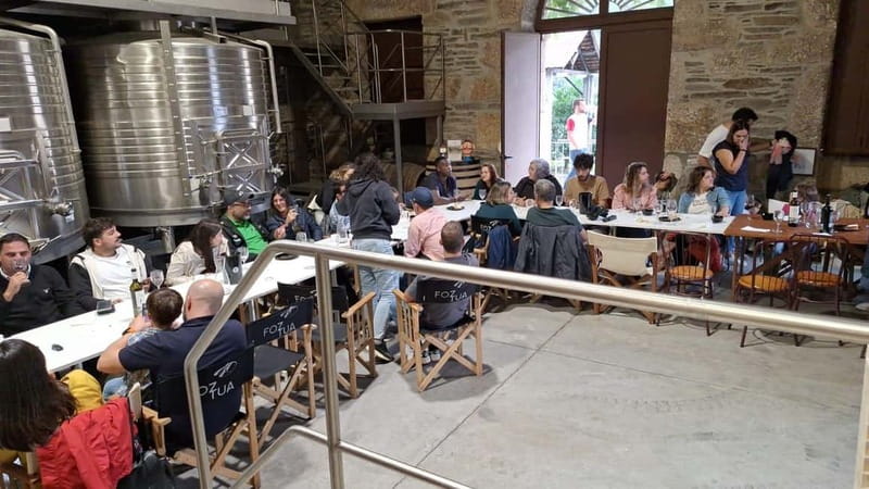 Private Douro Wine Experience - Full Day in the Douro Valley - Who Should Book This Tour?