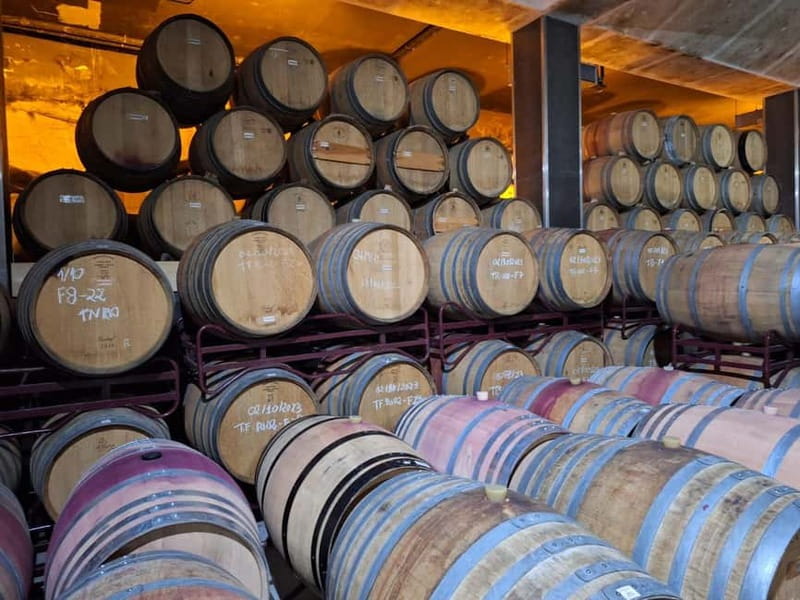 Private Douro Wine Experience - Full Day in the Douro Valley - Why Choose This Douro Tour?