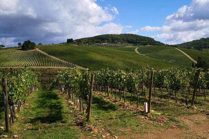 Private driver Florence Wine Tour countryside of Tuscany 7 hours - Scenic Drive Along Via Chiantigiana