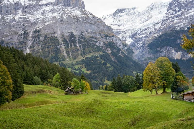Private driver for tour from Zurich to Jungfraujoch and back - The Return Journey and Zurich Drop-Off