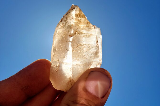 Private Driving and Hiking Tour in Joshua Tree National Park - Key Points