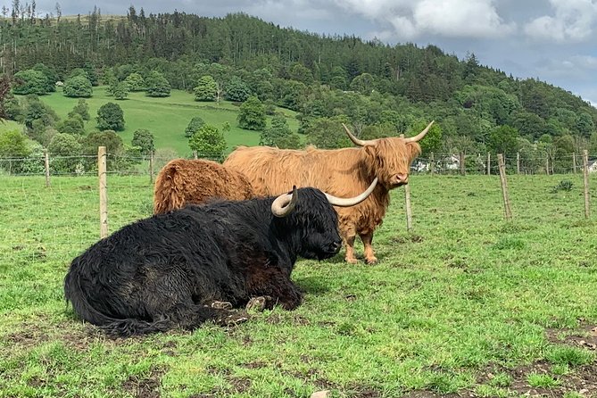 Private Driving Tour to Stirling, Battle Of Banockburn,William Wallace,whisky - The Wallace Monument: Honoring Scotland’s Hero