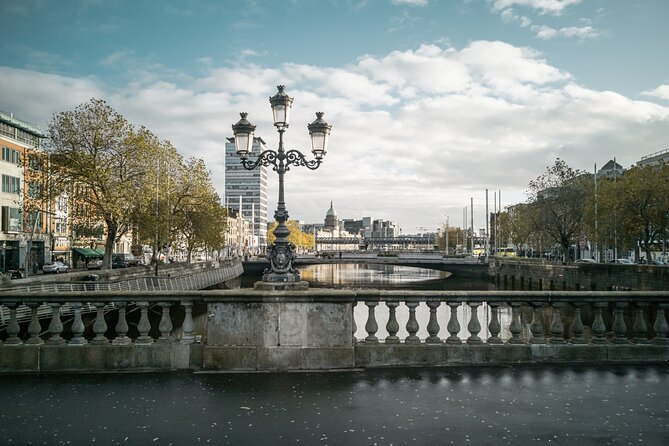Private Dublin Day Tour - Dublin Castle’s Political and Cultural Heritage