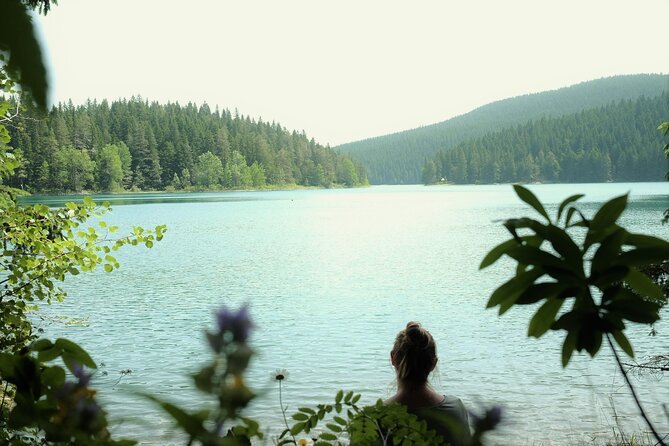 Private Durmitor National Park and Black Lake Tour - Inclusion of Park Entrance Fees and Guided Commentary