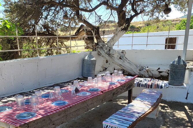 Private E-bike Guided Ode-yssey Uncharted Tour in Naxos - Key Points