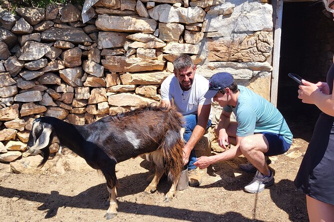 Private E-bike Guided Ode-yssey Uncharted Tour in Naxos - Authentic Cheese-Making at Armeos Farm