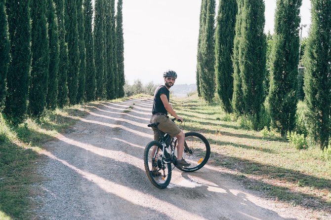 Private E-bike Tour in Chianti from San Gimignano - Explore Tuscany by E-Bike on a Private Chianti Tour from San Gimignano