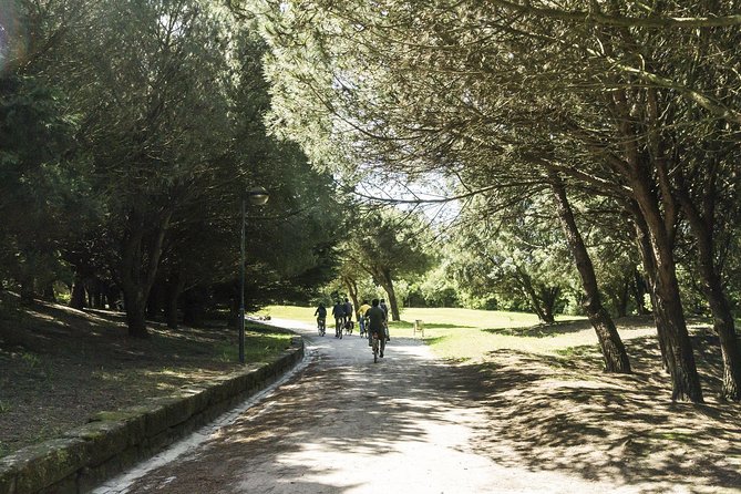 Private e-Bike Tour in Porto  Explore Riverside, Beaches & Parks - Flexibility and Cancellation Policy
