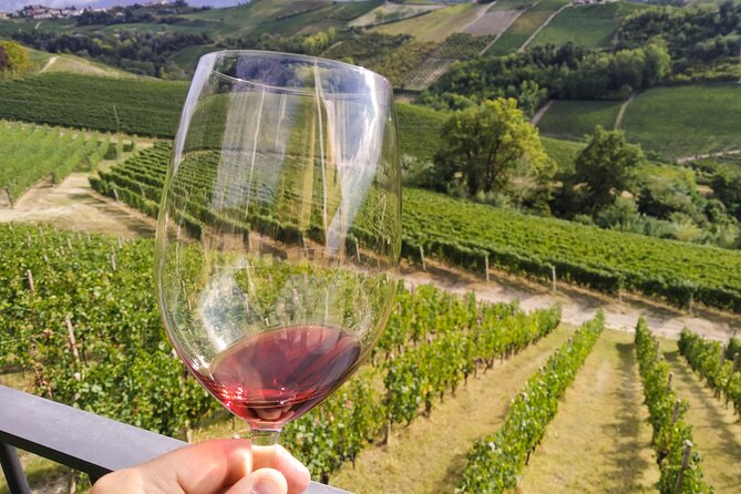Private E-bike Tour " Langhe del Barbaresco " - Asphalt only - The Wine Experience at Barbaresco
