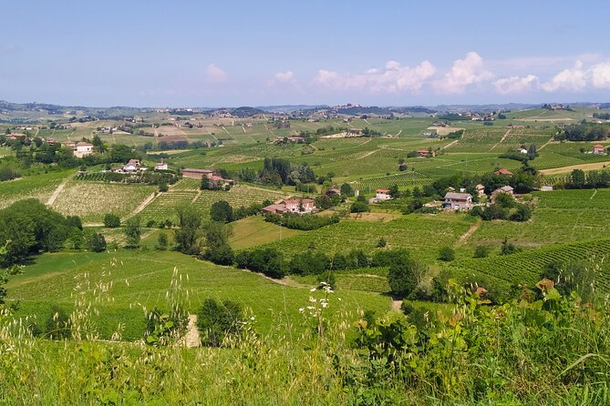 Private E-bike Tour "Monferrato di Canelli" - Asphalt only - Key Points