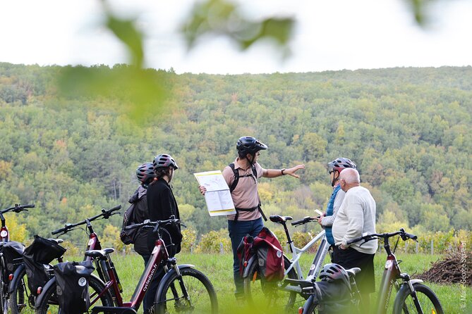 Private e-bike tour with a guide in the Vineyards of Chablis - Visiting a Wine Estate for an Authentic Tasting Experience