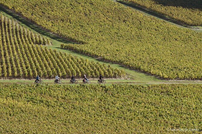 Private e-bike tour with a guide in the Vineyards of Chablis - The Guide: Knowledgeable, Friendly, and Fluent in French and English