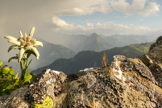 Private Eagle's Nest & The Hills are Alive - Salzburg Puppet Theater and Its Sound of Music Connection