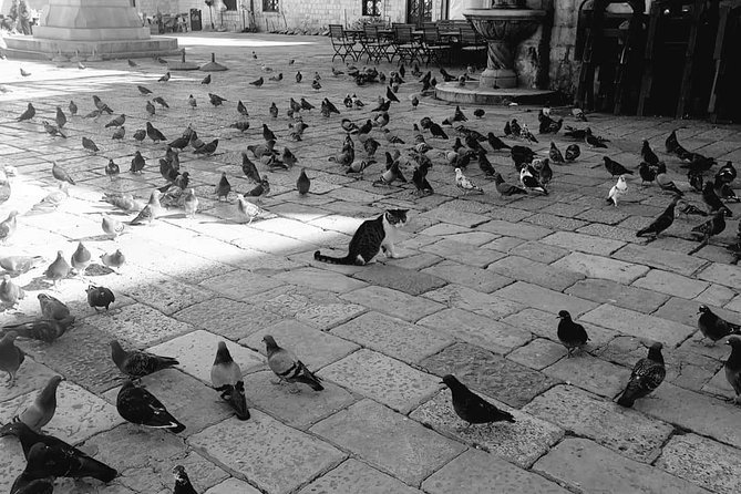 Private Early Morning Dubrovnik Tour - Explore Dubrovniks Old Town Before the Crowds