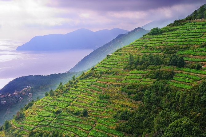 Private EASY Cinque Terre Accessible Tour from Livorno - Key Points