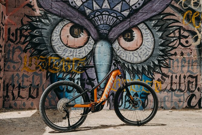 Private ebike tour Ibiza (northern highlights route) - Key Points