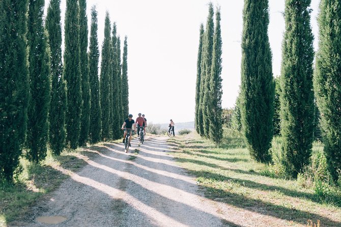 Private Ebike Tour in Chianti - All-Inclusive Experience: No Need for Extra Equipment