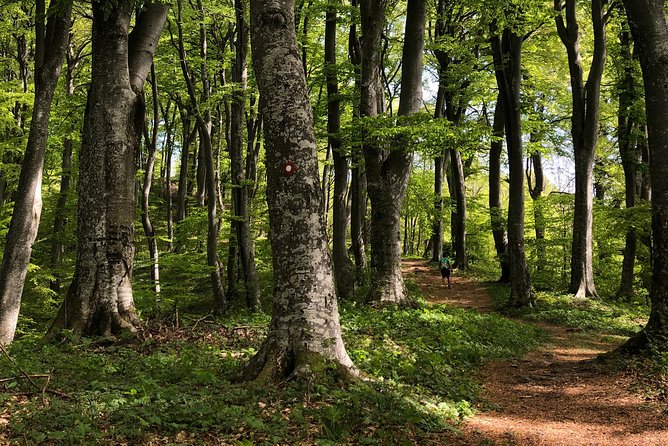 Private eclectic hiking experience of Samobor Hills - Safety, Equipment, and Included Comforts